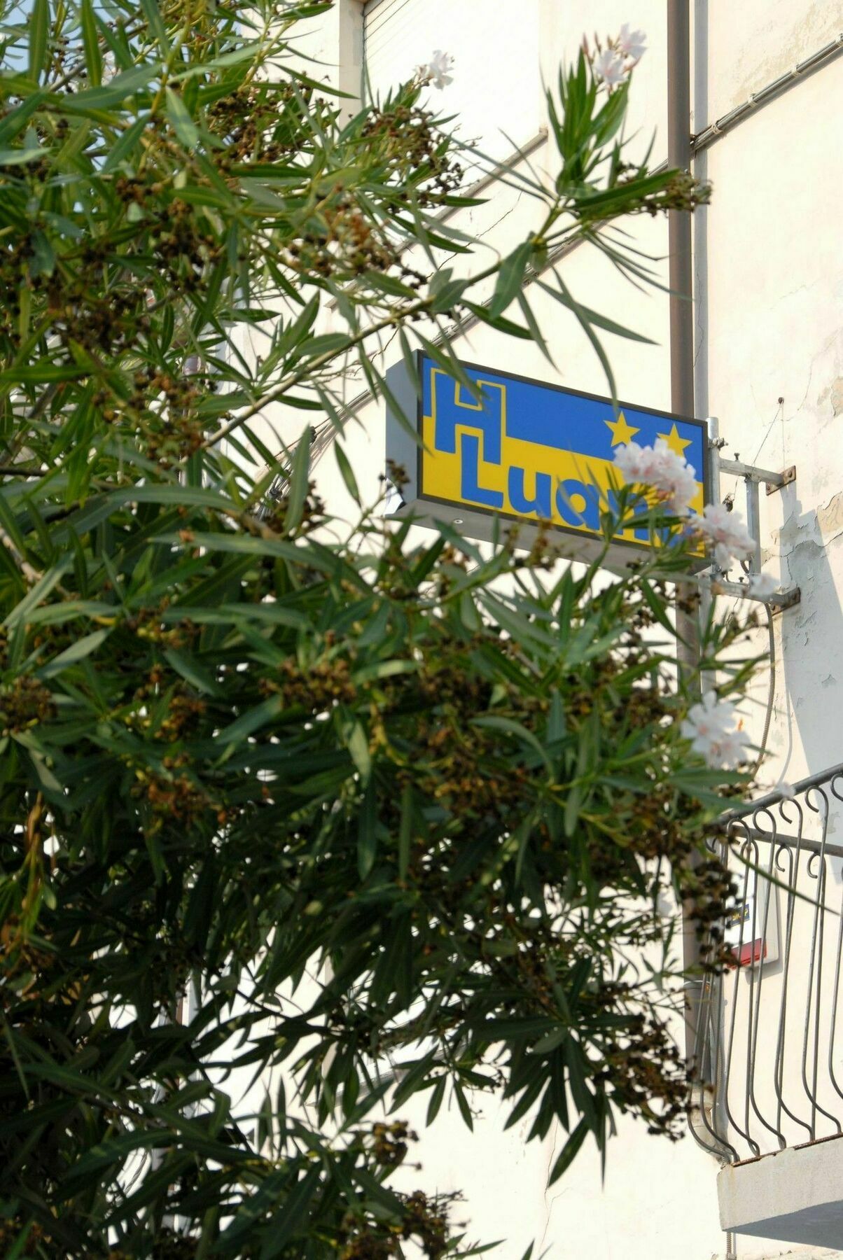 Hotel Luana Viareggio Exteriér fotografie